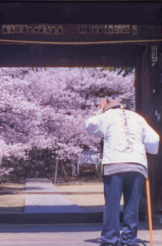 花供養・弘法大師御影供法会・先祖供養　4月21日13時より　大師堂にて